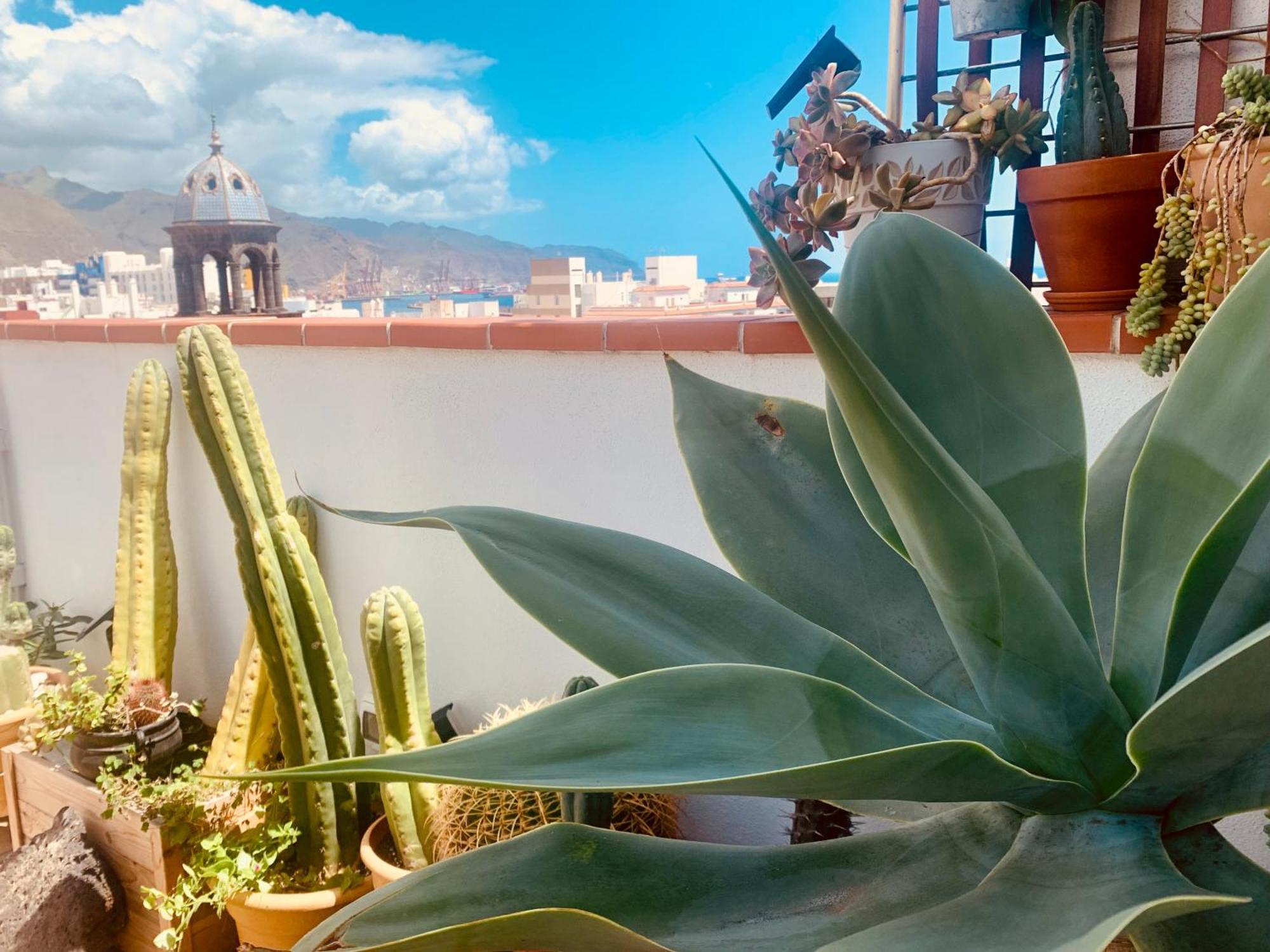 Ferienwohnung Atico Con Terraza, Vistas Panoramicas Y Parking Santa Cruz de Tenerife Exterior foto